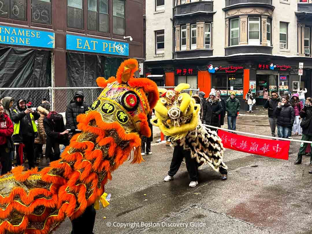 Two lions facing off for a dance at Boston Chinese New Year Parade