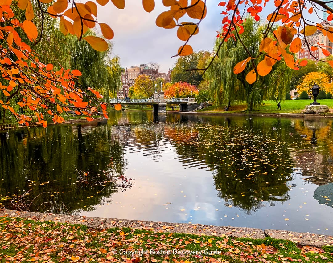 Head of the Charles Regatta in the Charles River between Boston and Cambridge