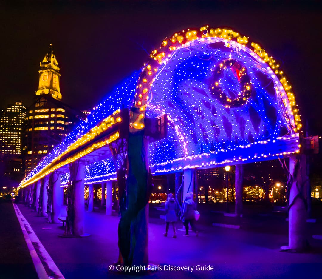 Christmas Lights on Trellis in Columbus Park, Boston