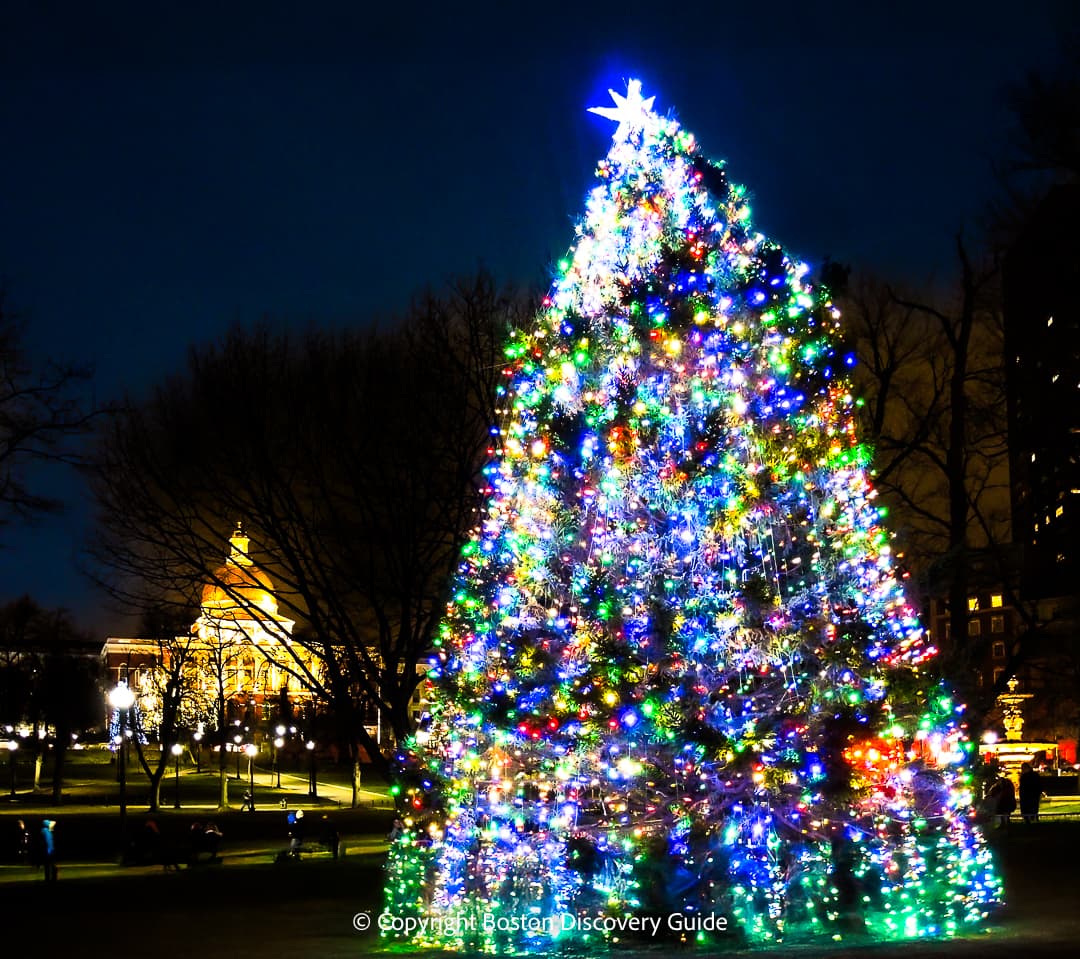 Christmas Tree in Boston Common - Massachusetts State House in Background