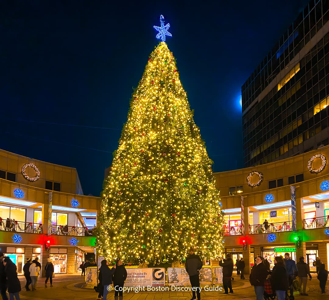 Christmas Tree in Faneuil Marketplace