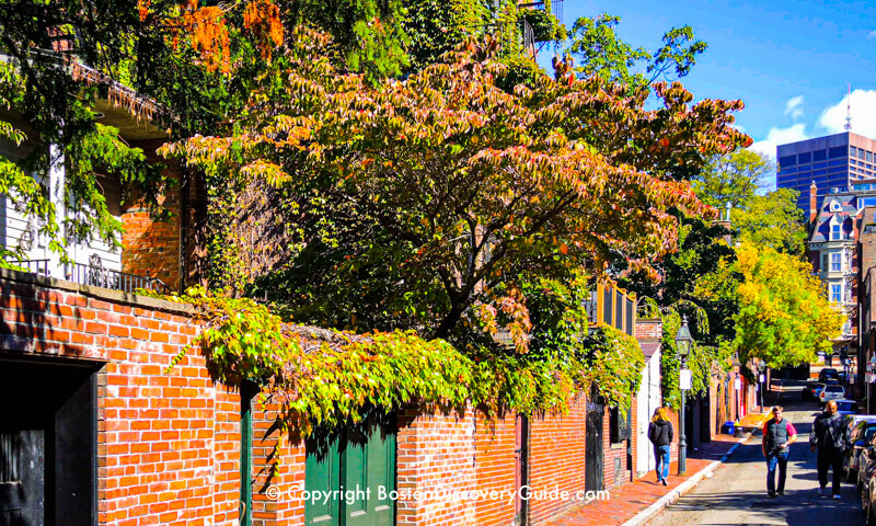 2023 Beacon Hill History + Scenic Photo Walking Tour (Small Group)