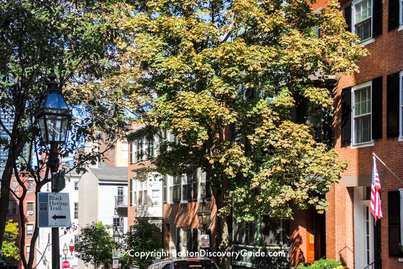 Black Heritage Trail tour in Boston