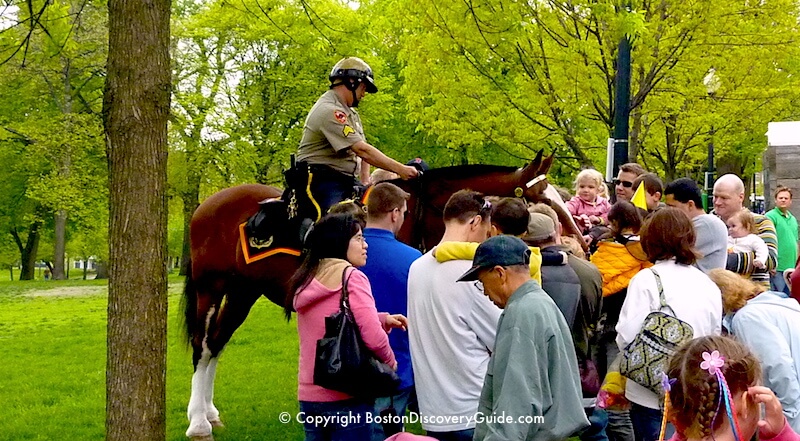 Duckling Day returns, bringing adorably dressed up children to the Common -  The Boston Globe