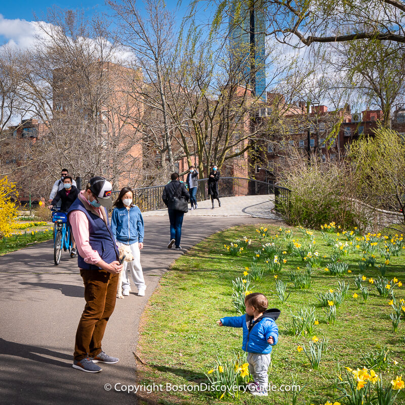 Best Things to Do in Boston in April 2024 Fun Activities Boston