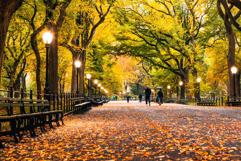 New York's Central Park in the fall