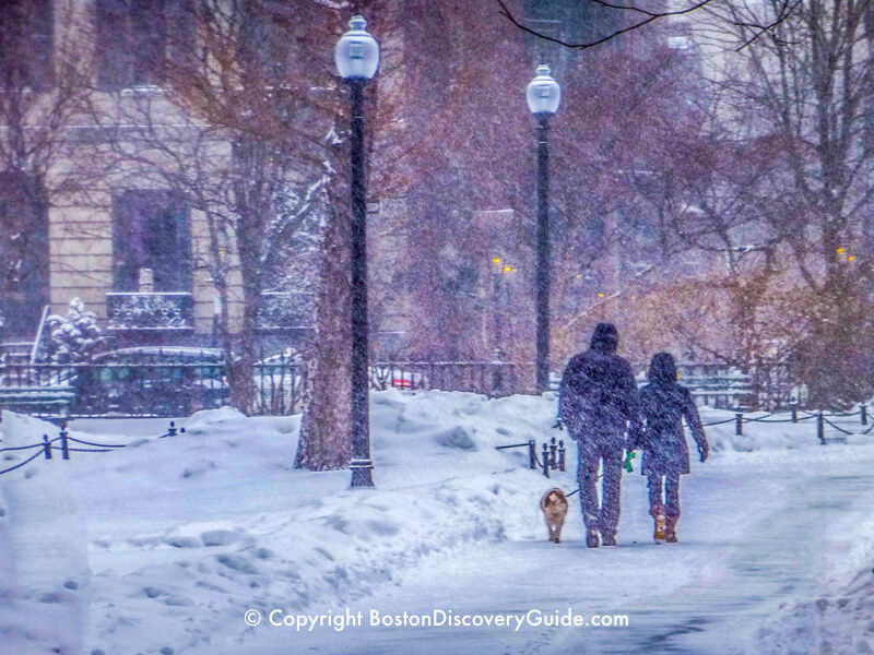 Boston Weather in January What To Expect Boston Discovery Guide