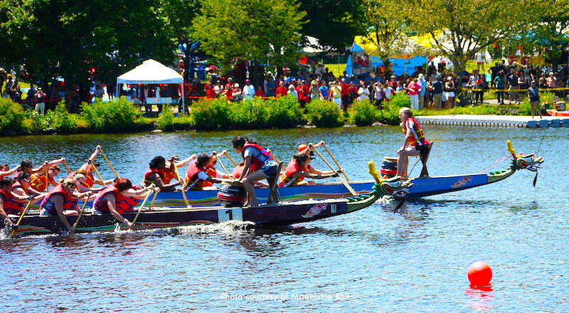 Races - Dragon Boat Race