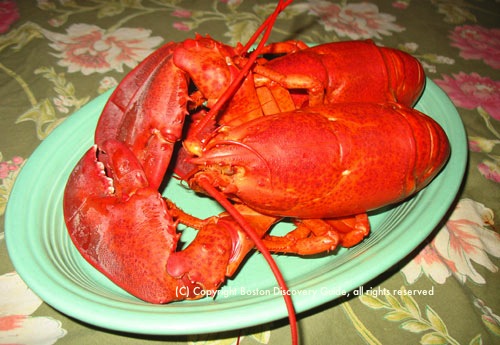 how long do you boil maine lobster
