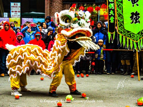 5 ways to celebrate the Lunar New Year in Boston