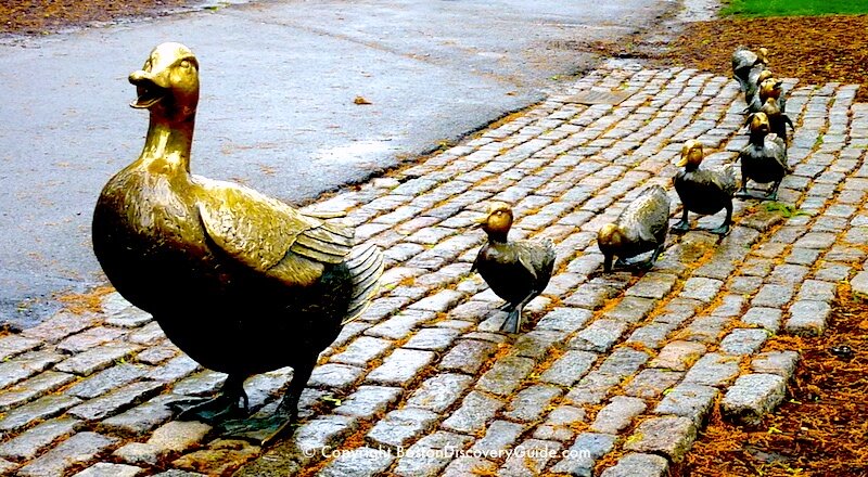 Make Way For Ducklings Boston Discovery Guide - 