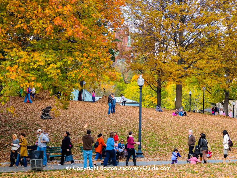 Boston in The Fall: Best Things To Do & Activities