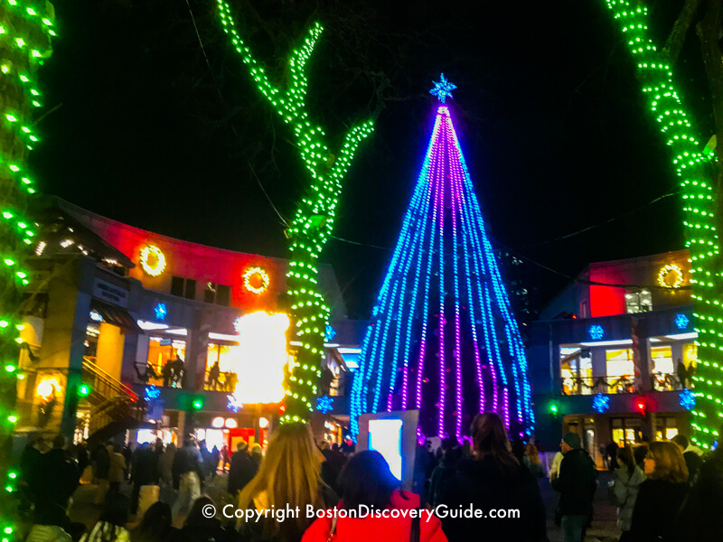 Christmas Lights on Trellis in Columbus Park, Boston