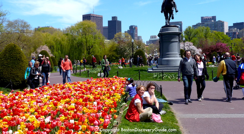 Boston Event Calendar May 2018 | Things to Do | Boston Discovery Guide